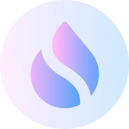 STSUI